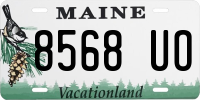 ME license plate 8568UO