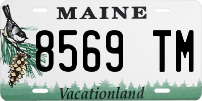 ME license plate 8569TM