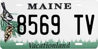 ME license plate 8569TV