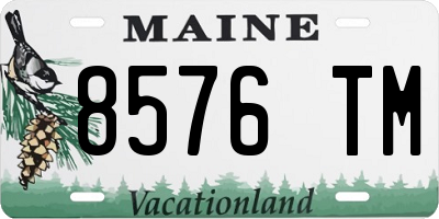 ME license plate 8576TM
