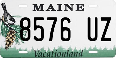 ME license plate 8576UZ