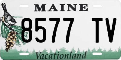 ME license plate 8577TV