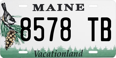 ME license plate 8578TB