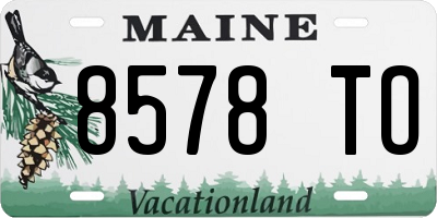 ME license plate 8578TO