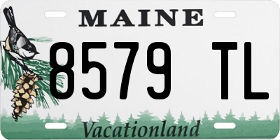 ME license plate 8579TL