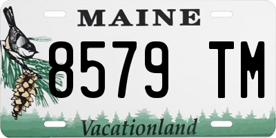 ME license plate 8579TM