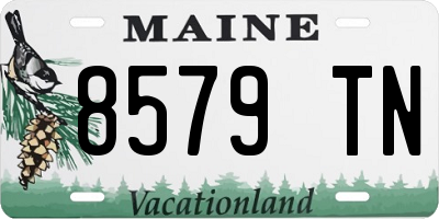 ME license plate 8579TN