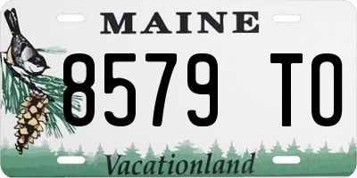 ME license plate 8579TO