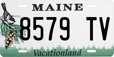 ME license plate 8579TV