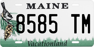 ME license plate 8585TM