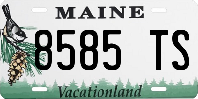 ME license plate 8585TS