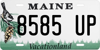 ME license plate 8585UP