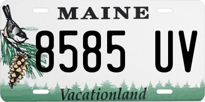 ME license plate 8585UV