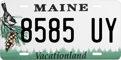 ME license plate 8585UY