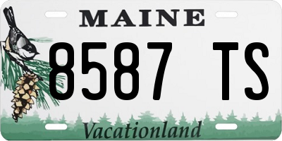 ME license plate 8587TS