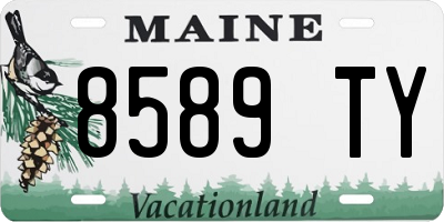 ME license plate 8589TY