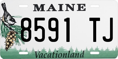 ME license plate 8591TJ