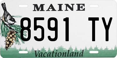 ME license plate 8591TY
