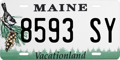 ME license plate 8593SY