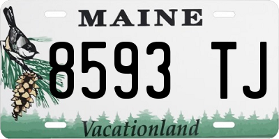 ME license plate 8593TJ