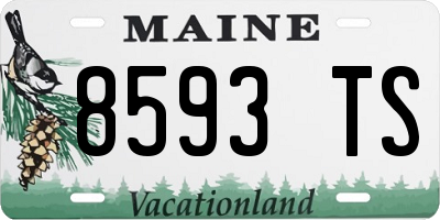 ME license plate 8593TS