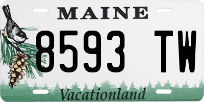 ME license plate 8593TW