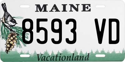 ME license plate 8593VD