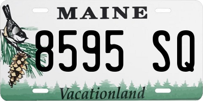 ME license plate 8595SQ