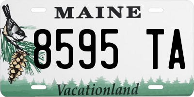 ME license plate 8595TA