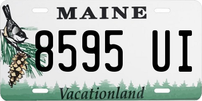 ME license plate 8595UI
