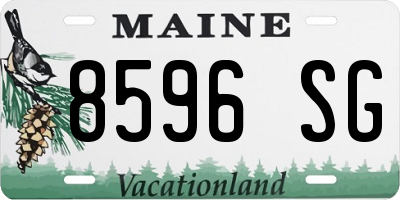 ME license plate 8596SG