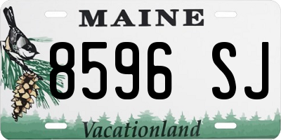 ME license plate 8596SJ