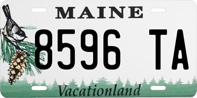 ME license plate 8596TA