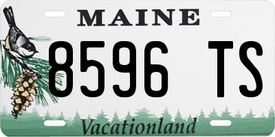ME license plate 8596TS