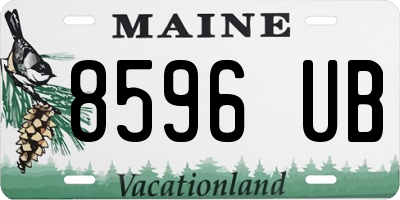 ME license plate 8596UB