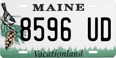 ME license plate 8596UD