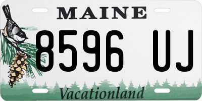 ME license plate 8596UJ
