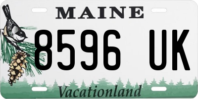 ME license plate 8596UK