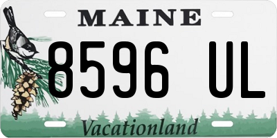 ME license plate 8596UL