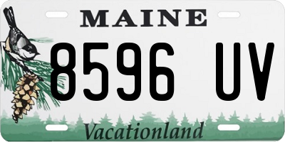 ME license plate 8596UV