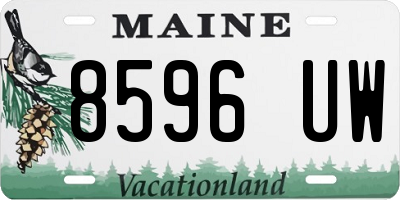 ME license plate 8596UW