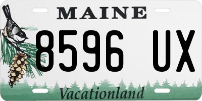 ME license plate 8596UX