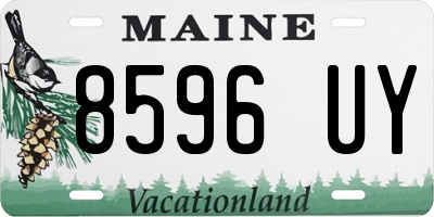 ME license plate 8596UY