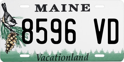 ME license plate 8596VD