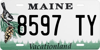 ME license plate 8597TY