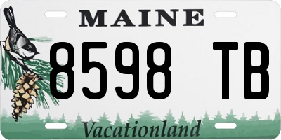 ME license plate 8598TB