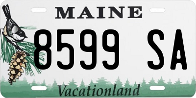 ME license plate 8599SA