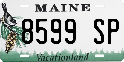 ME license plate 8599SP