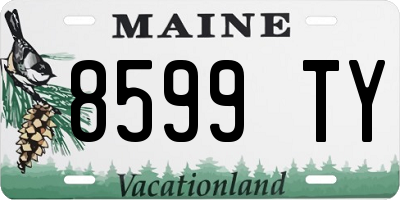 ME license plate 8599TY