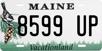 ME license plate 8599UP